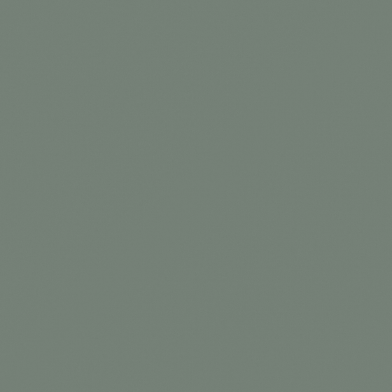 White Carpolly Metal Gray Wall Paint 3D Model