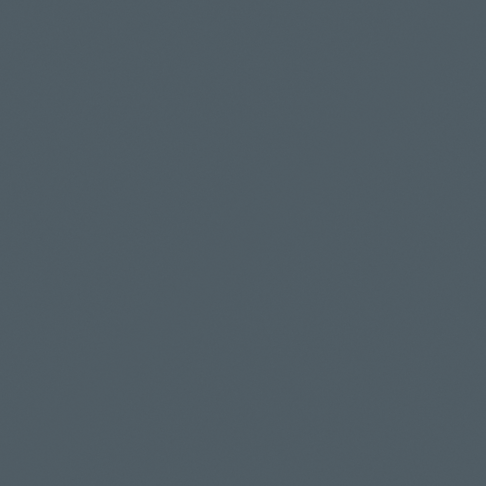 Carpolly Silent Black N3335-A PB 08 37 13