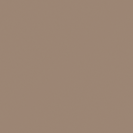 Carpolly London Paint 3D Model in Brown Color