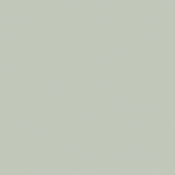 Carpolly Reed Meadow Wall Paint 3D Model in White