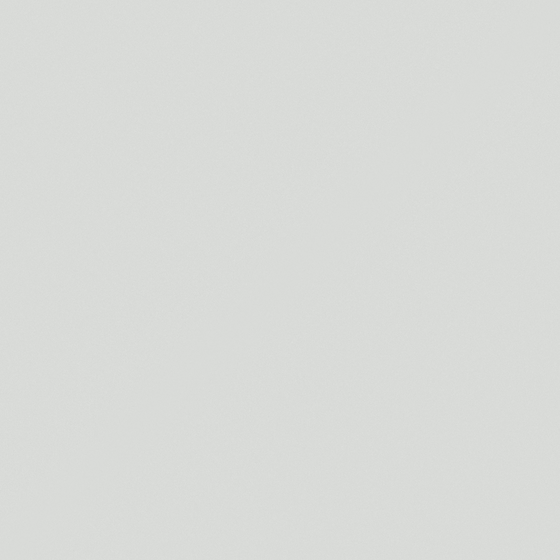 Carpolly Dolphin Grey Wall Paint 3D Model