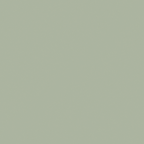 Carpolly Gray Sea Green Wall Paint 3D Model