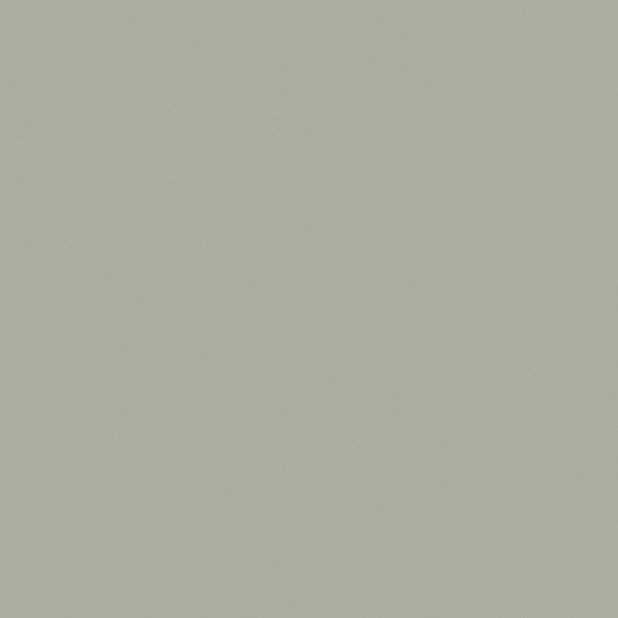 Carpolly So Road Dust N3164-P Y 56 67 07 in White