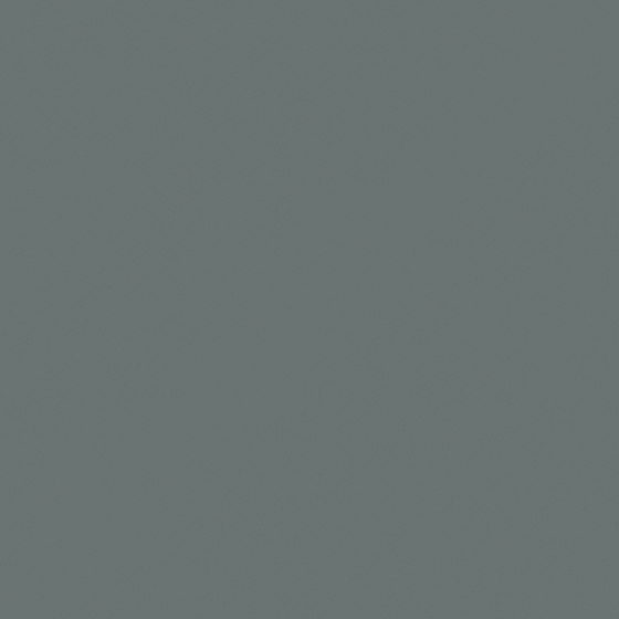 Carpoly Turtle Green N3307-D BG 55 46 07