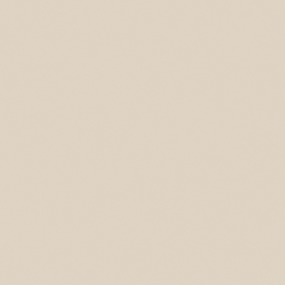 Carberry Beige Cafe Wall Paint 3D Model