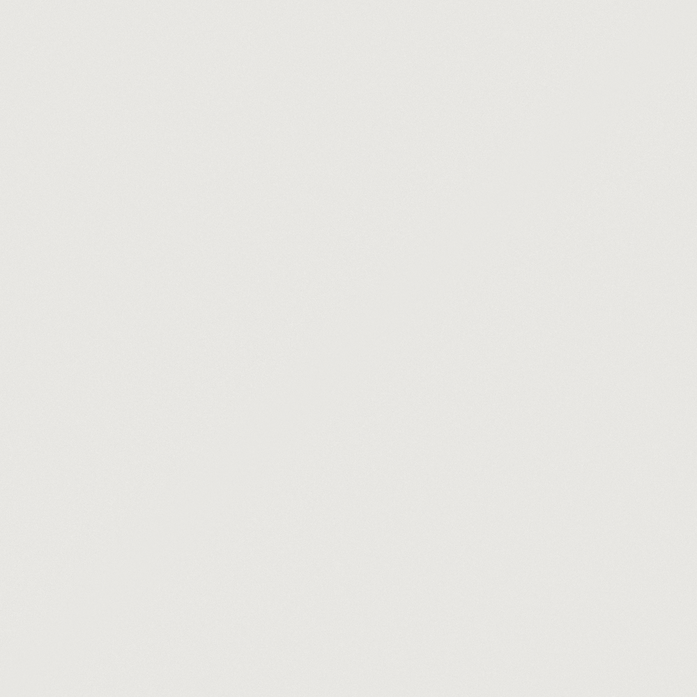 Carpolly Stratosphere N3022-P R 81 87 07