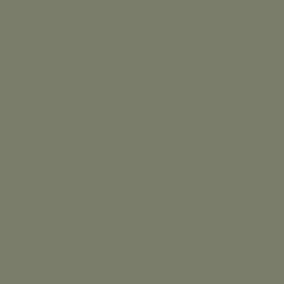 Carberry Green Pepper N3210-D GY 12 49 14