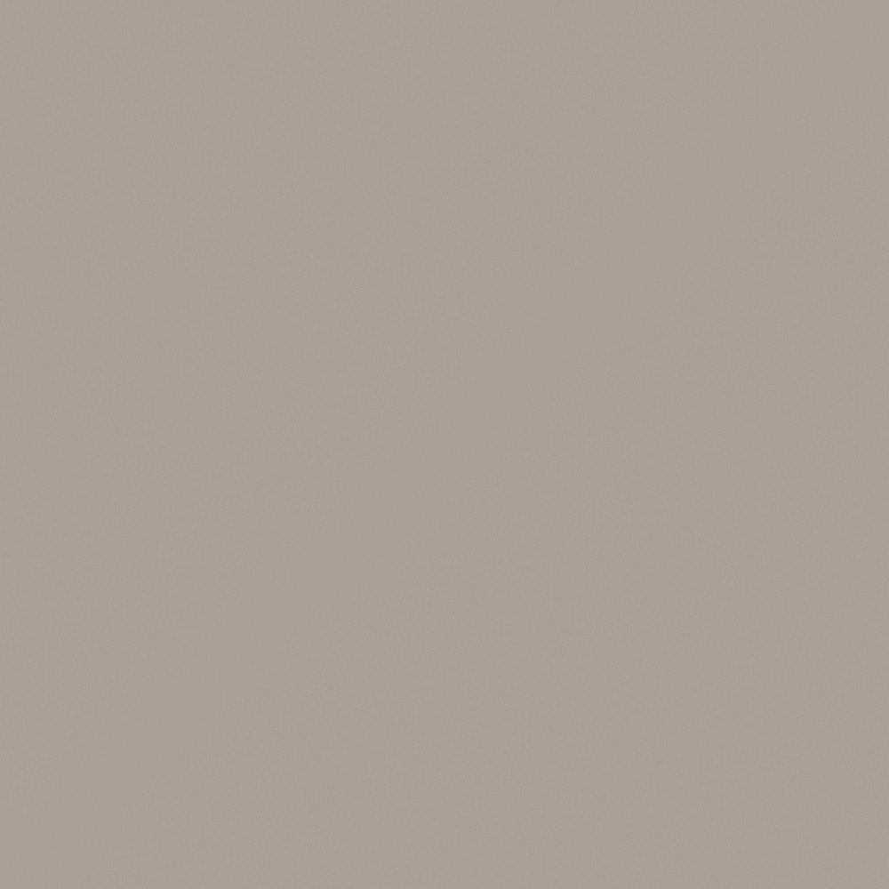 Carpolly Late Fall Wall Paint 3D Model in Beige Tone
