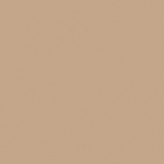 Wood Color Wall Paint 3D Model for Manfly Dance Theme