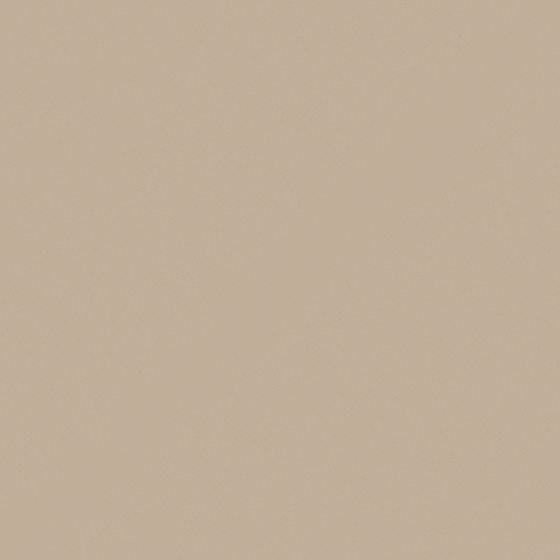 Carberry Sand Coast N3116-P YR 93 69 21 3D Model in Beige
