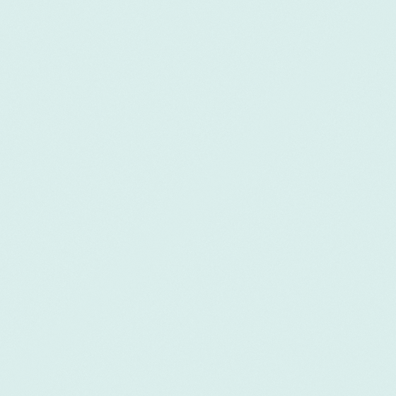 Carpolly Fogall Dawn N3281-P BG 56 88 09