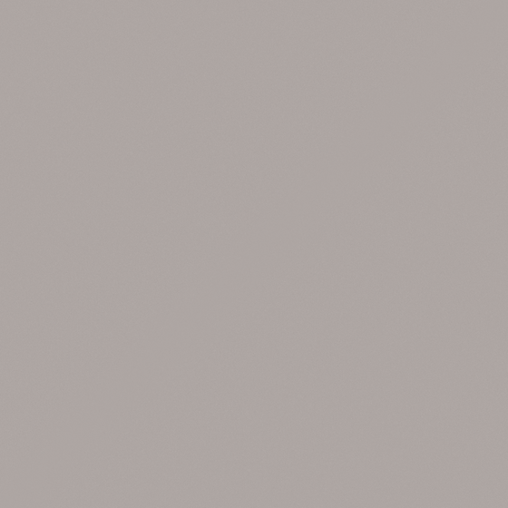 Carberry Almond Milk Paint 3D Model in White