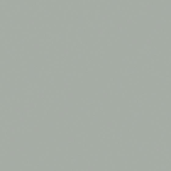 Carpolly Lime Paint 3D Model in White