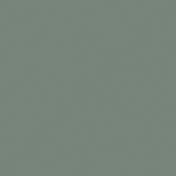 Carborite Carborite Wall Paint N3265-D G in Green