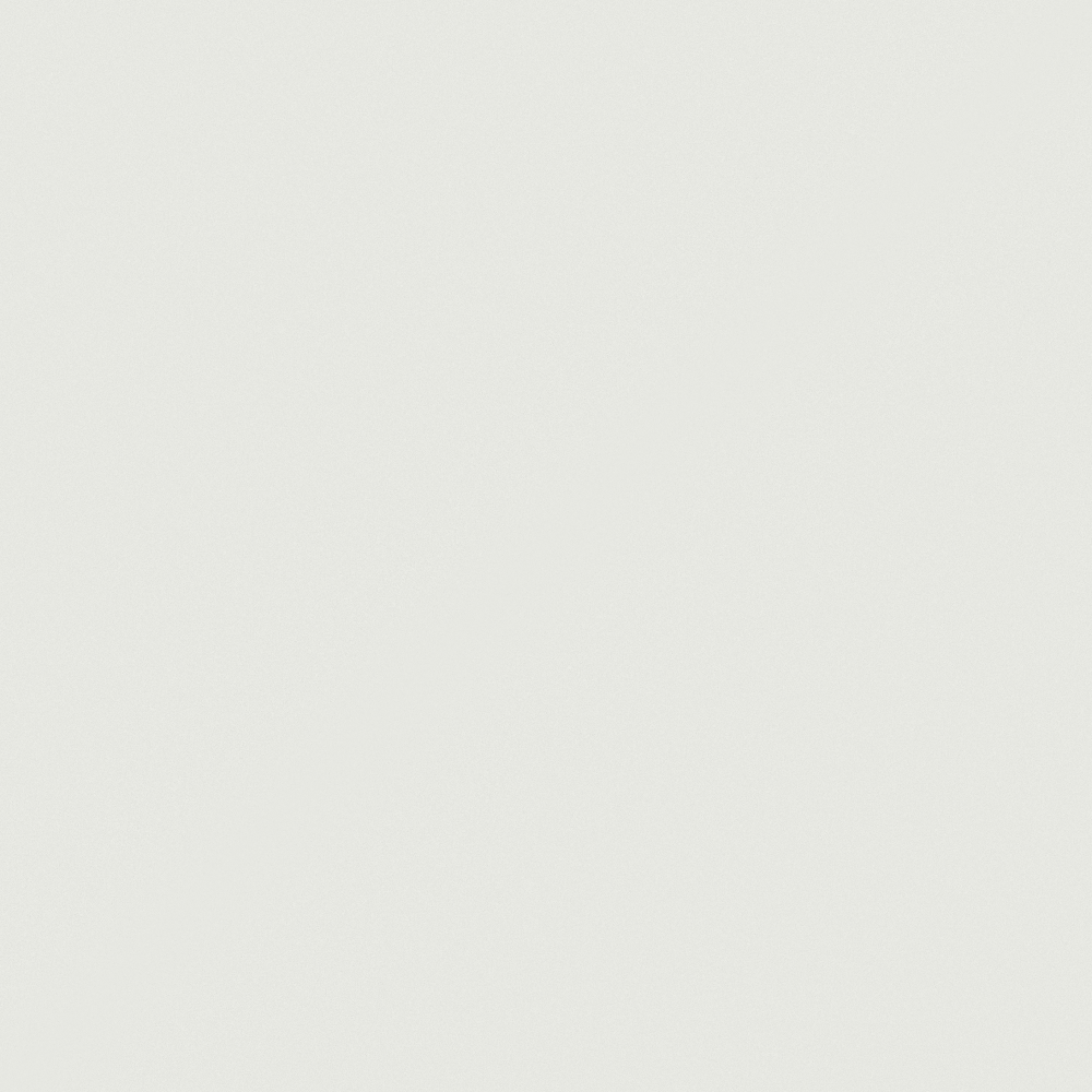 Carberry Pelican White Wall Paint 3D Model