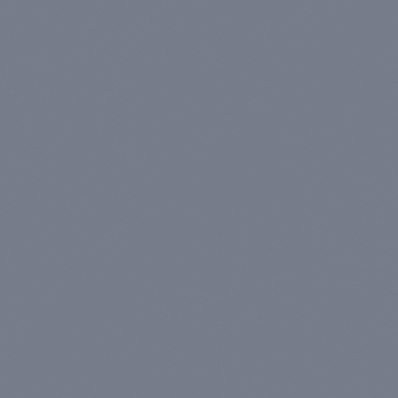 Carpolly Thames Grey Paint 3D Model for Interior Applications