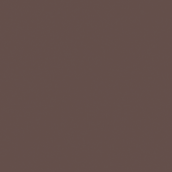 Chic Carpolly Deep Ochre N3413-A Wall Paint 3D Model in Black