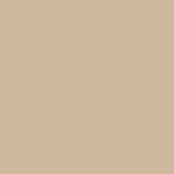 Carpolly Desert Zone Wall Paint