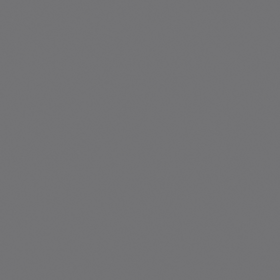 Carpolly Misty Rain Floor Paint 3D Model in White