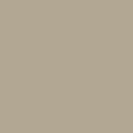 Cozy Beige Wall Paint 3D Model