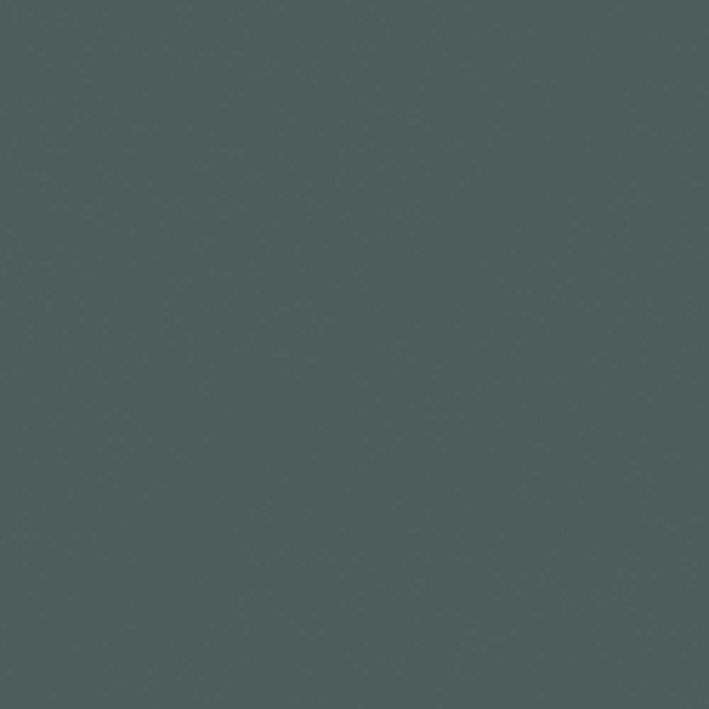 Carpolly Seed Green N3314-A B 17 37 10