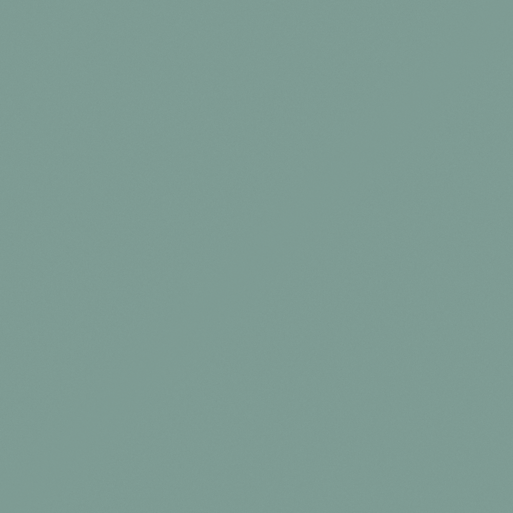 Carpoly Indian Green N3272-T BG 25 58 21