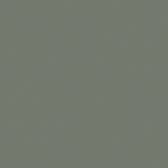 Carpoly Night Fall Crow N3236-D GY 51 48 09