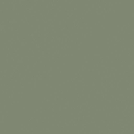 Carberry Shale Wall Paint 3D Model in White