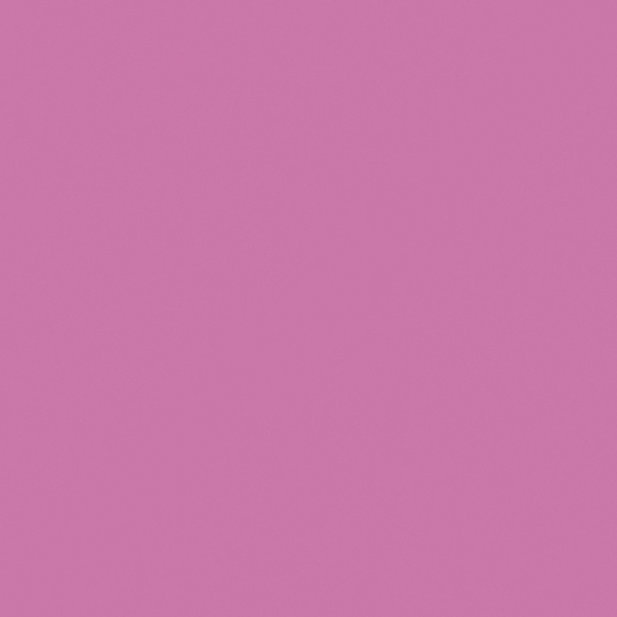 Pink Carpolly Rose Paint