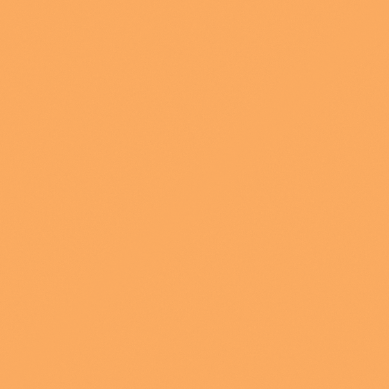 Carberry Mango Citrus Wall Paint 3D Model in Orange