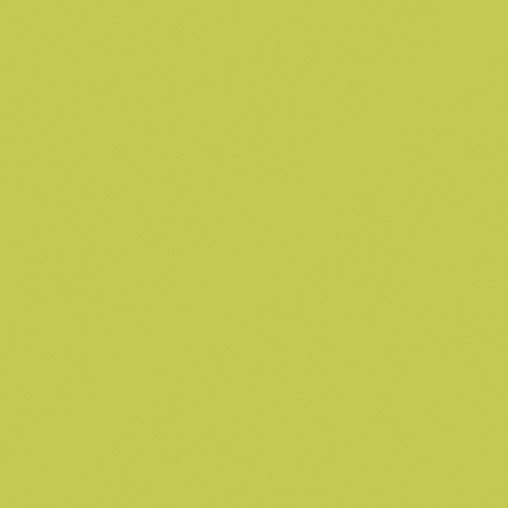 White Carpolly Wall Paint 3D Model for Interior Design