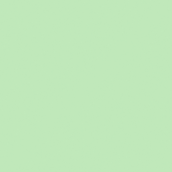 Carpolly Foam Bubble Tea C1248-P G 07 83 42