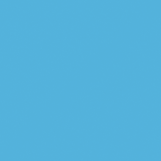 Carmine Blue Parrot 3D Model for Wall Paint