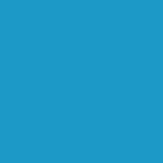 Carpolly Blue Jay C1355-D Wall Paint in Blue