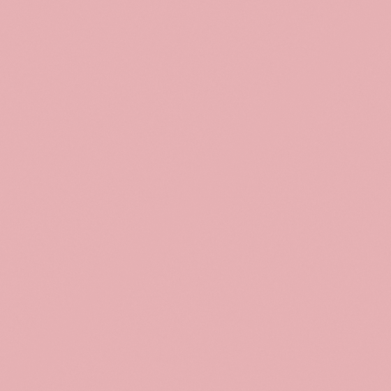 C1011-P R 07 73 58 3D Wall Paint in Pink