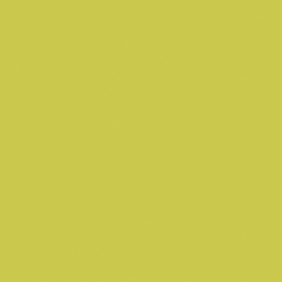 Carberry Lemon Wall Paint 3D Model in White