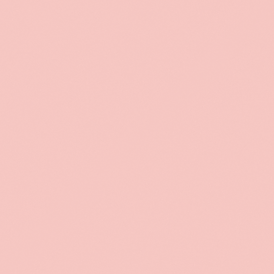 Carpolly Camellia C1045-P R 53 81 45 3D Model in Pink