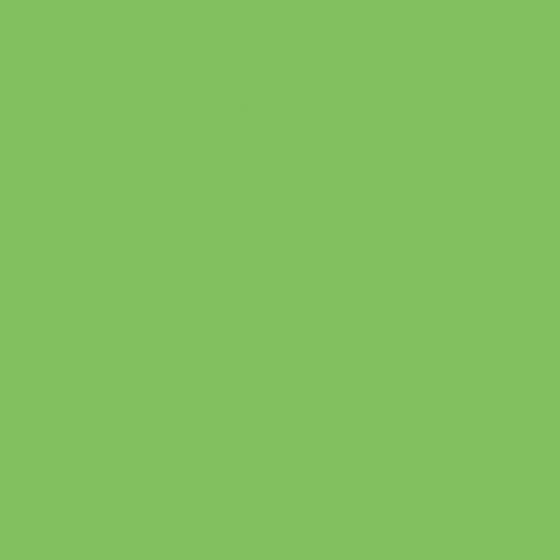 Carpolly Clover C1231-A GY Wall Paint in Beige