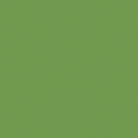 Carpolly Green Wall Paint 3D Model in Green