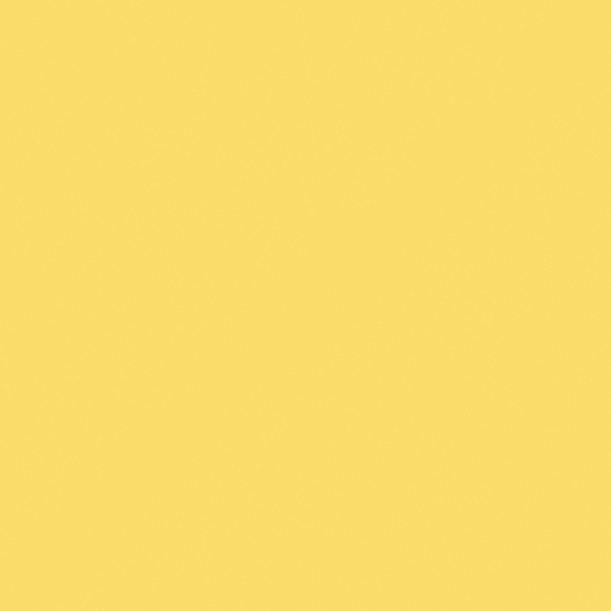 Carberry Sunny Wall Paint 3D Model in White