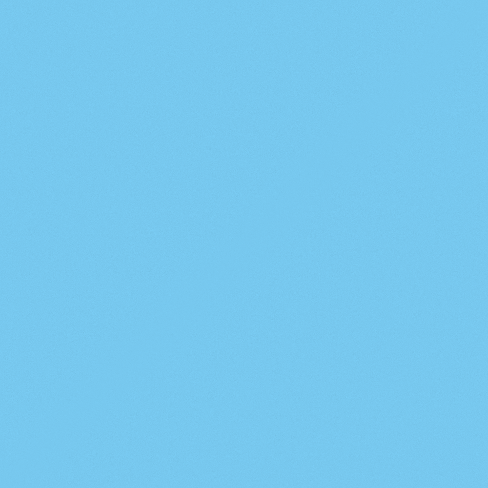 Carpolly Robin Blue Wall Paint 3D Model in Blue