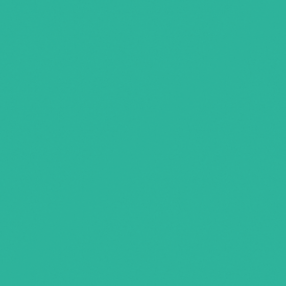 Carpolly Yujue C1286-D BG 37 60 83