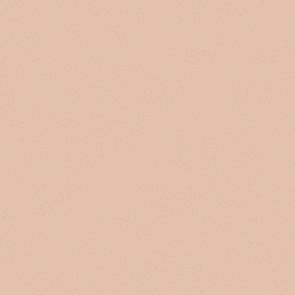 Carpolly Mellow Cheese Wall Paint 3D Model in Pink