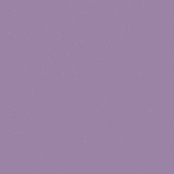 Carberry Elegant Wisteria Paint 3D Model in White