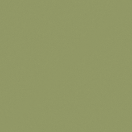 Carpolly Essex Green Wall Paint 3D Model in White