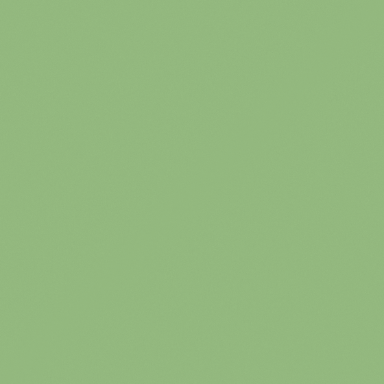 Green Carpolly Grey Paris Green Paint 3D Model