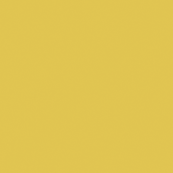 Carpolly Citrine Wall Paint 3D Model in Bright White Finish