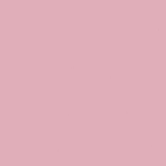 Carberry Begonia Floral M2578-P RP 81 72 57 3D Model in Pink