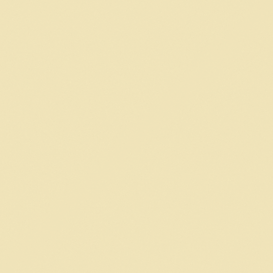 Carberry Honey Cream Wall Paint in White