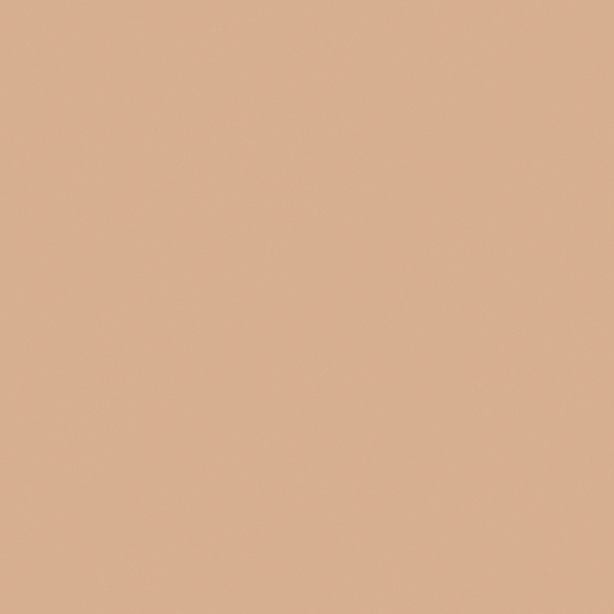 Wood Color Carberry Pink Khaki Wall Paint 3D Model